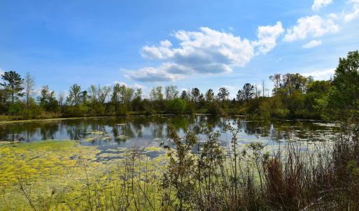 Water view featuring a view of trees