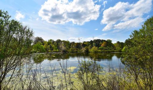 Property view of water with a view of trees
