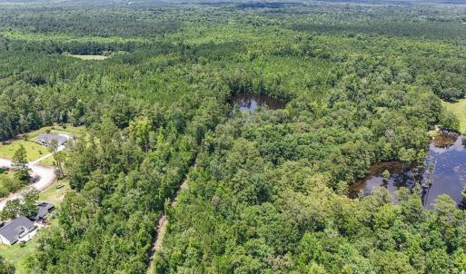 Photo #5 of 1351 Highway 90, Conway, SC 51.7 acres
