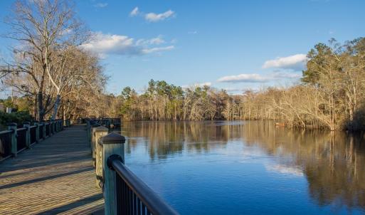 Photo #25 of 1351 Highway 90, Conway, SC 51.7 acres