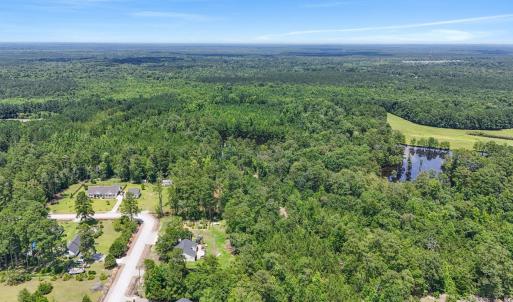 Photo #5 of 1351 Highway 90, Conway, SC 51.7 acres