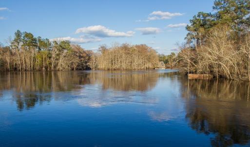 Photo #28 of 1351 Highway 90, Conway, SC 51.7 acres