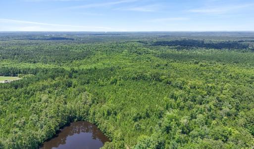 Photo #10 of 1351 Highway 90, Conway, SC 51.7 acres