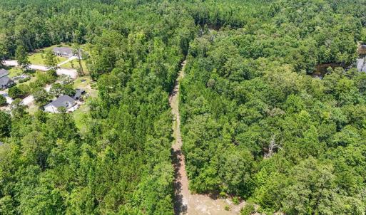 Photo #12 of 1351 Highway 90, Conway, SC 51.7 acres