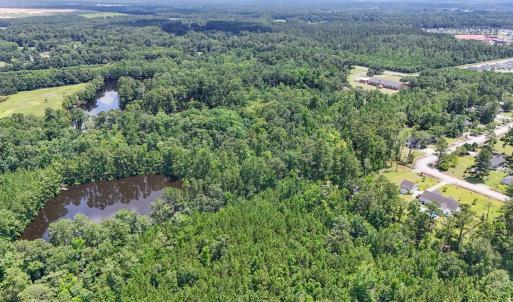 Photo #7 of 1351 Highway 90, Conway, SC 51.7 acres
