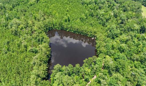 Photo #4 of 1351 Highway 90, Conway, SC 51.7 acres