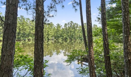 Photo #16 of 1351 Highway 90, Conway, SC 51.7 acres