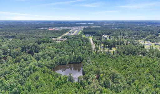 Photo #11 of 1351 Highway 90, Conway, SC 51.7 acres