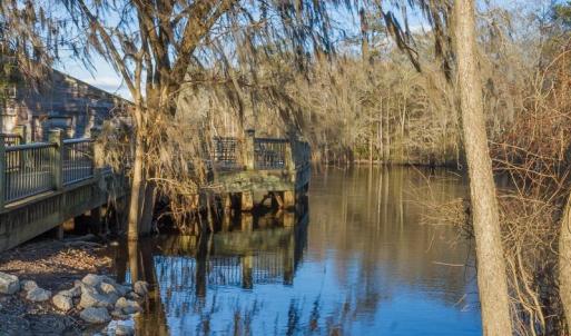 Photo #29 of 1351 Highway 90, Conway, SC 51.7 acres