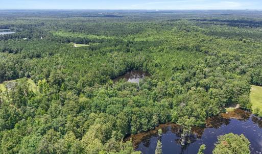 Photo #9 of 1351 Highway 90, Conway, SC 51.7 acres