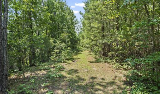 Photo #13 of 1351 Highway 90, Conway, SC 51.7 acres