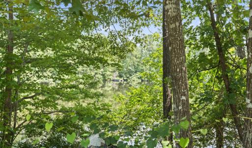 Photo #17 of 1351 Highway 90, Conway, SC 51.7 acres