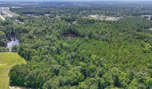 Photo #8 of 1351 Highway 90, Conway, SC 51.7 acres