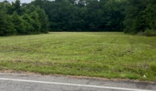 Photo #2 of LOTS 3 & 4 Anderson Bridge Rd, Coward, SC 8.3 acres