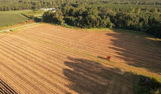 Photo #5 of 61.77 Acres-TBD Marion Church Rd., Salters, SC 61.8 acres
