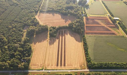 Photo #10 of 61.77 Acres-TBD Marion Church Rd., Salters, SC 61.8 acres