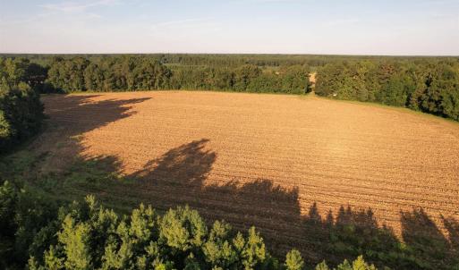 Photo #13 of 61.77 Acres-TBD Marion Church Rd., Salters, SC 61.8 acres