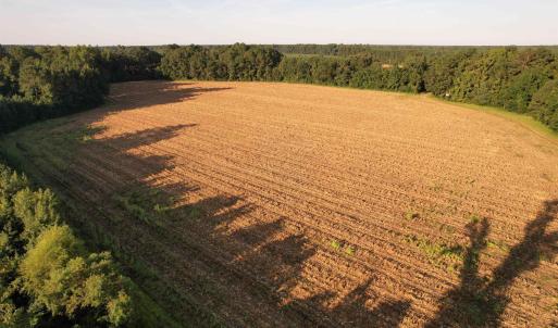 Photo #2 of 61.77 Acres-TBD Marion Church Rd., Salters, SC 61.8 acres