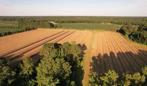 Photo #1 of 61.77 Acres-TBD Marion Church Rd., Salters, SC 61.8 acres