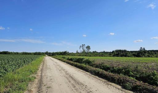View of dirt / gravel road featuring a view of rur