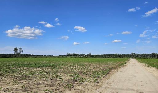 View of dirt / gravel road featuring a rural view