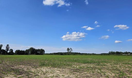 Photo #1 of 332 Old Georgetown Rd., Lake City, SC 88.5 acres