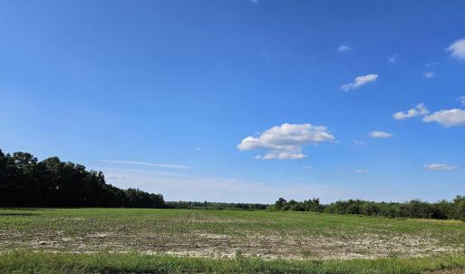 View of undeveloped land featuring rural landscape