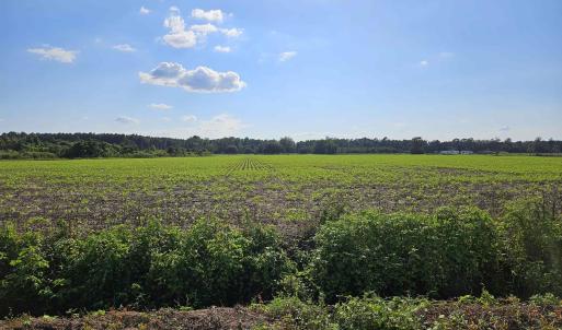 View of undeveloped land with rural landscape and