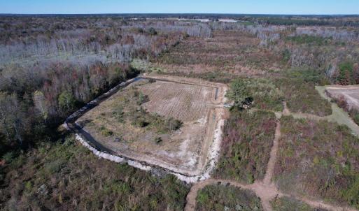 Photo #10 of 64 Acres-TBD Vox Hwy., Lake City, SC 64.0 acres