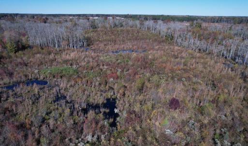 Photo #4 of 64 Acres-TBD Vox Hwy., Lake City, SC 64.0 acres