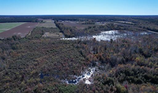 Photo #6 of 52 Acres-TBD Vox Hwy., Lake City, SC 52.0 acres