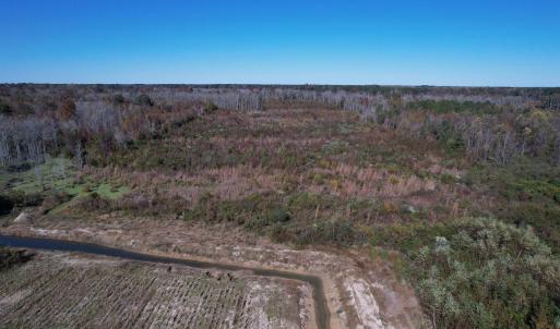 Photo #3 of 52 Acres-TBD Vox Hwy., Lake City, SC 52.0 acres