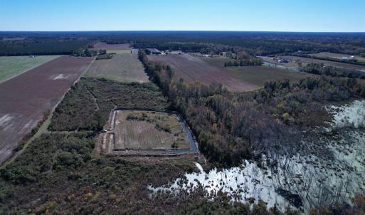 Photo #7 of 52 Acres-TBD Vox Hwy., Lake City, SC 52.0 acres