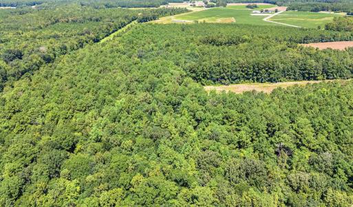 Drone / aerial view of a heavily wooded area