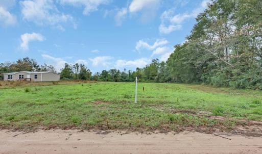 Photo #7 of TBD Willow Grove Dr., Loris, SC 2.5 acres