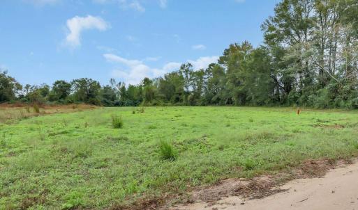 Photo #8 of TBD Willow Grove Dr., Loris, SC 2.5 acres