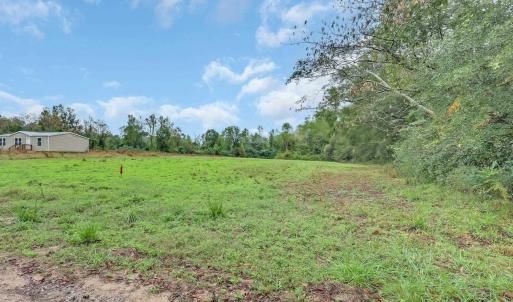 Photo #6 of TBD Willow Grove Dr., Loris, SC 2.5 acres
