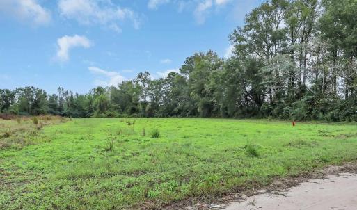 Photo #1 of TBD Willow Grove Dr., Loris, SC 2.5 acres