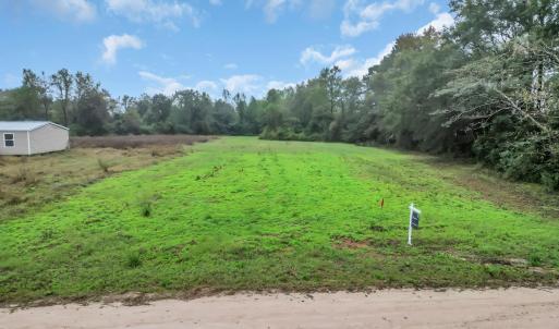 Photo #17 of TBD Willow Grove Dr., Loris, SC 2.5 acres