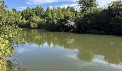 Water view featuring a heavily wooded area