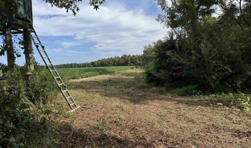View of undeveloped land featuring rural landscape