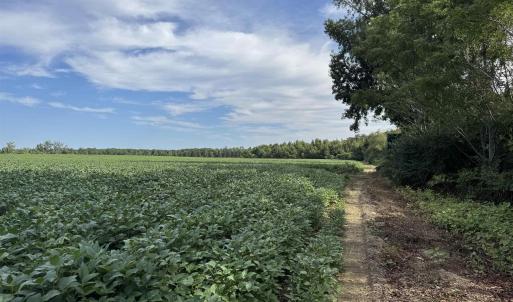 View of local wilderness featuring rural landscape