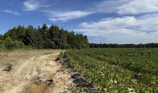 View of undeveloped land featuring rural landscape