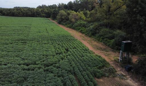 View of rural area with abundant farmland