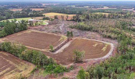 Photo #7 of TBD Francis Gibson Rd., Centenary, SC 49.7 acres