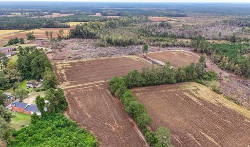 Photo #3 of TBD Francis Gibson Rd., Centenary, SC 49.7 acres