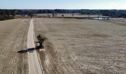 Overview of rural landscape featuring a heavily wo