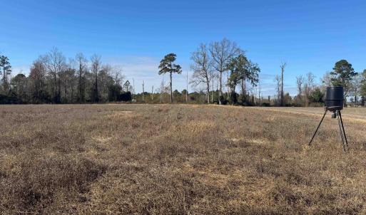 View of yard featuring a rural view