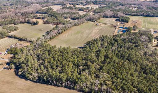 Photo #12 of 7557 Highway 19, Loris, SC 59.9 acres