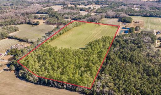 Photo #11 of 7557 Highway 19, Loris, SC 59.9 acres